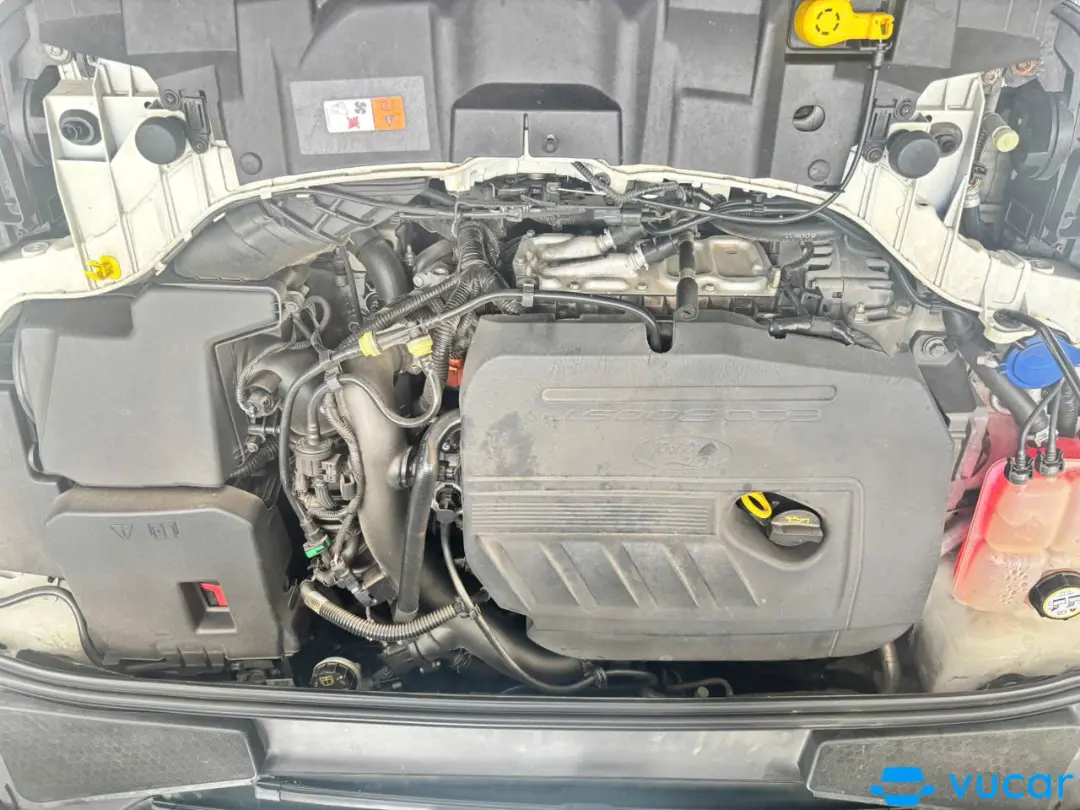 Ford Focus Titanium 1.5L 2016 - Khoang động cơ 2