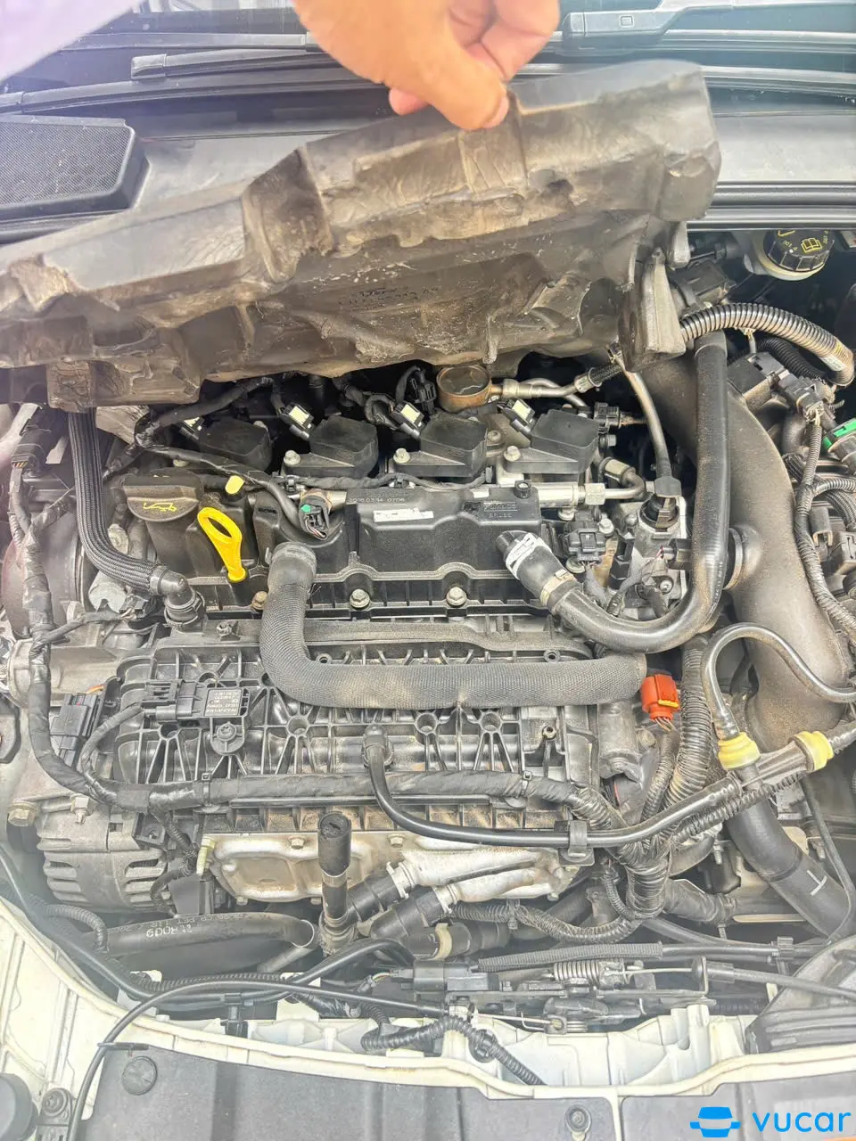 Ford Focus Titanium 1.5L 2016 - Khoang động cơ 1