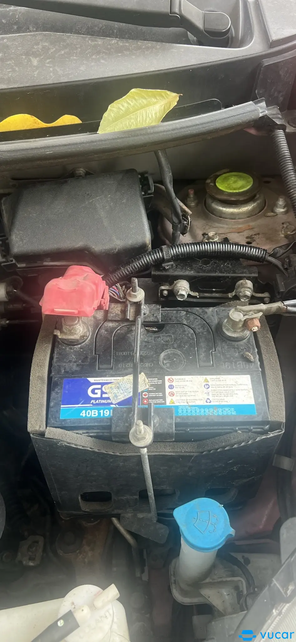 Toyota Wigo 1.2G AT 2019 - Gầm & khung xe 2