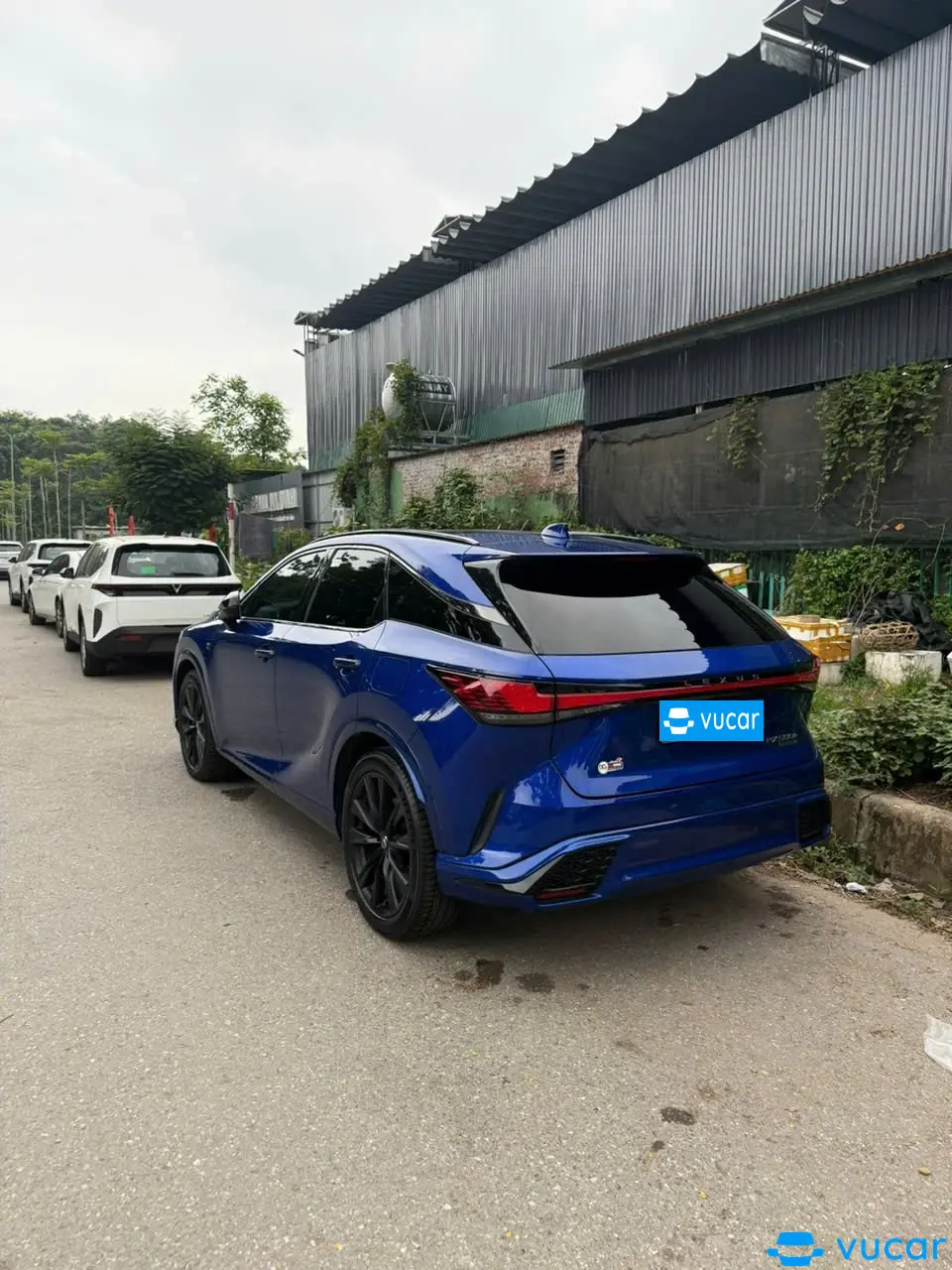 Lexus Rx 500h F Sport Performance 2024 - Ngoại thất 4