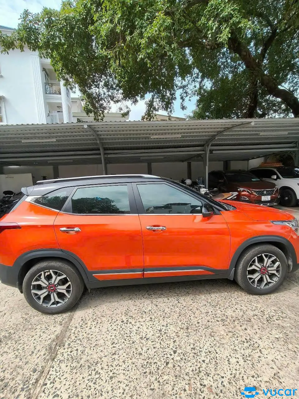 Kia seltos turbo, at 2022 - Ngoại thất 7