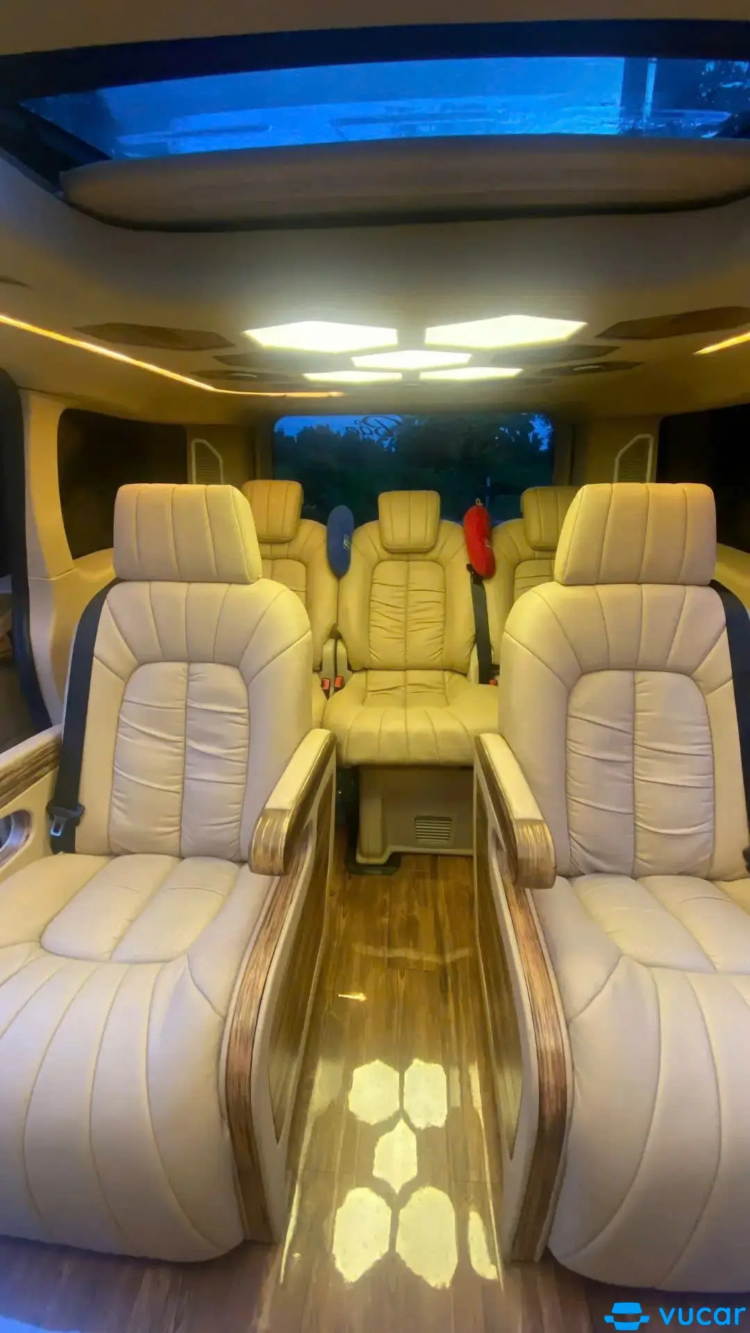 Ford Tourneo Limousine Titanium 2.0 AT 2019 - Nội thất 3