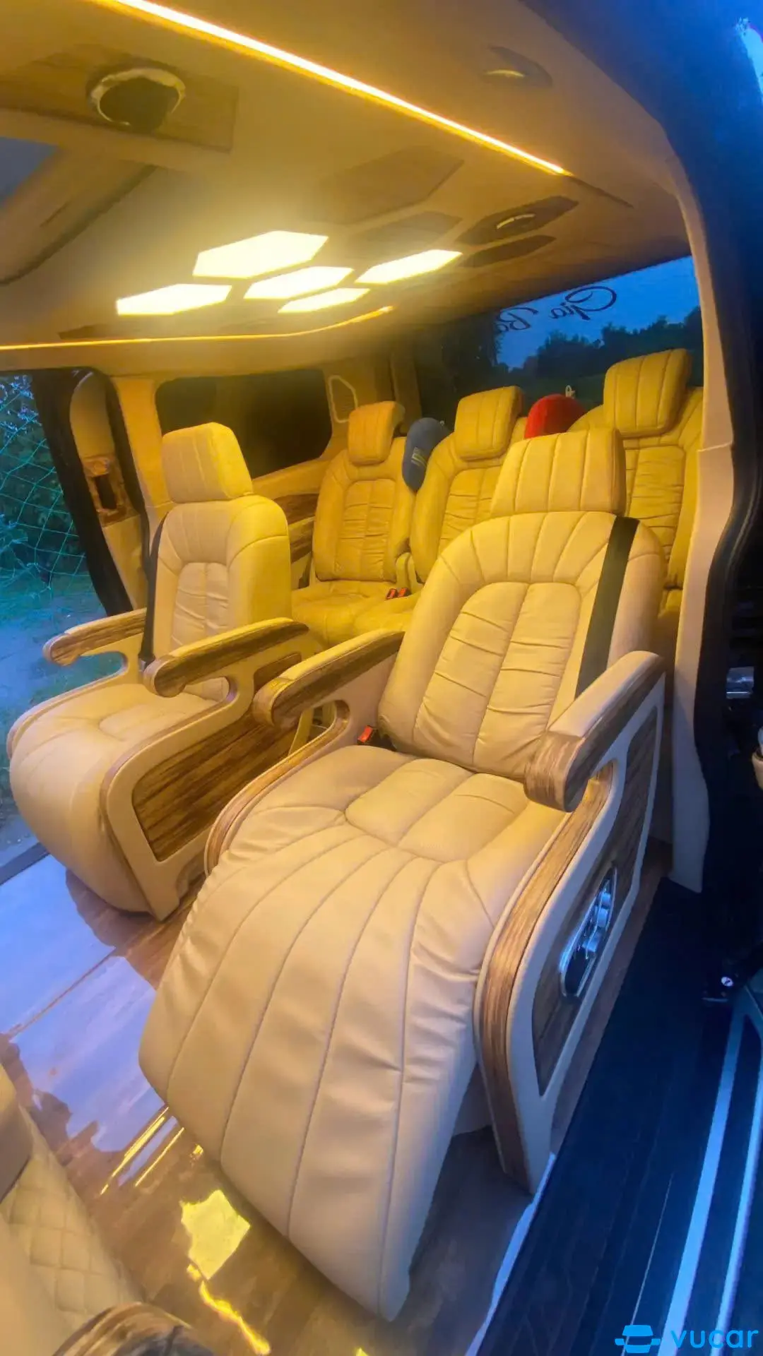 Ford Tourneo Limousine Titanium 2.0 AT 2019 - Nội thất 1