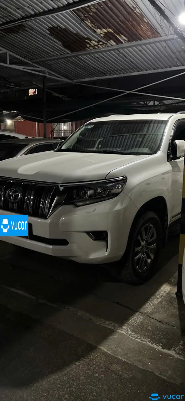 Toyota Land cruiser VX 4.6 V8 2019 - Ngoại thất 3