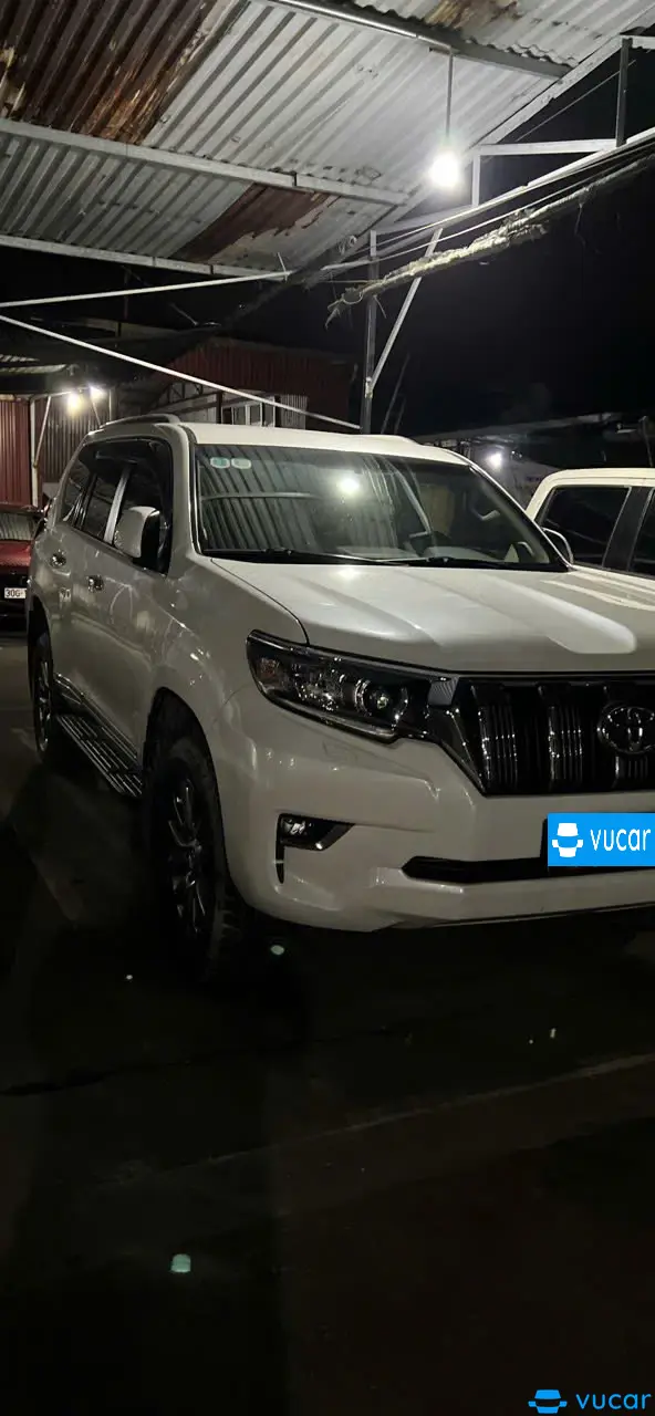 Toyota Land cruiser VX 4.6 V8 2019 - Ngoại thất 5