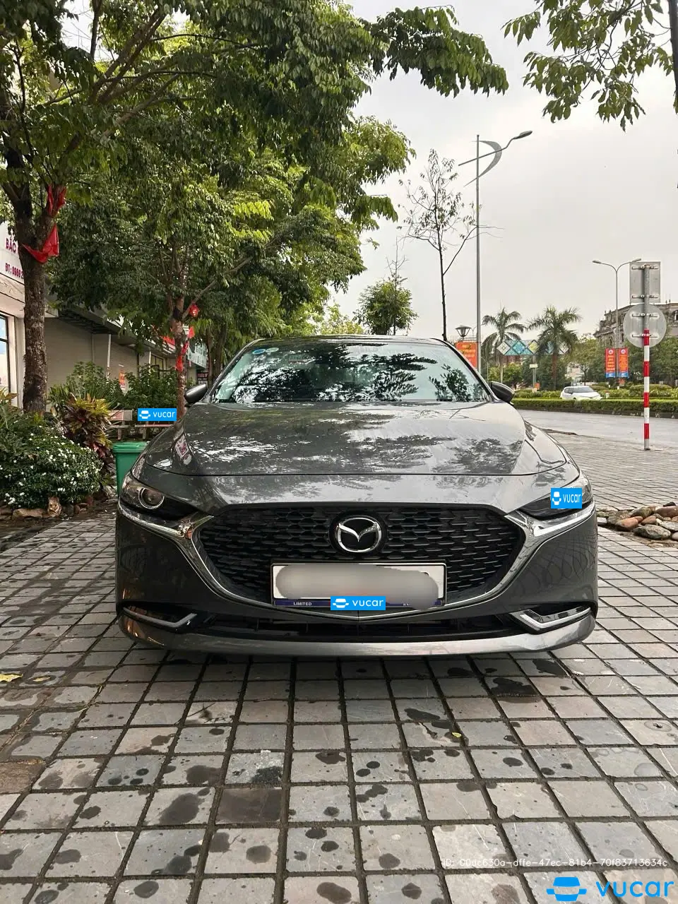 Ảnh xe Mazda 3 1.5L Luxury 2024 - ảnh 4