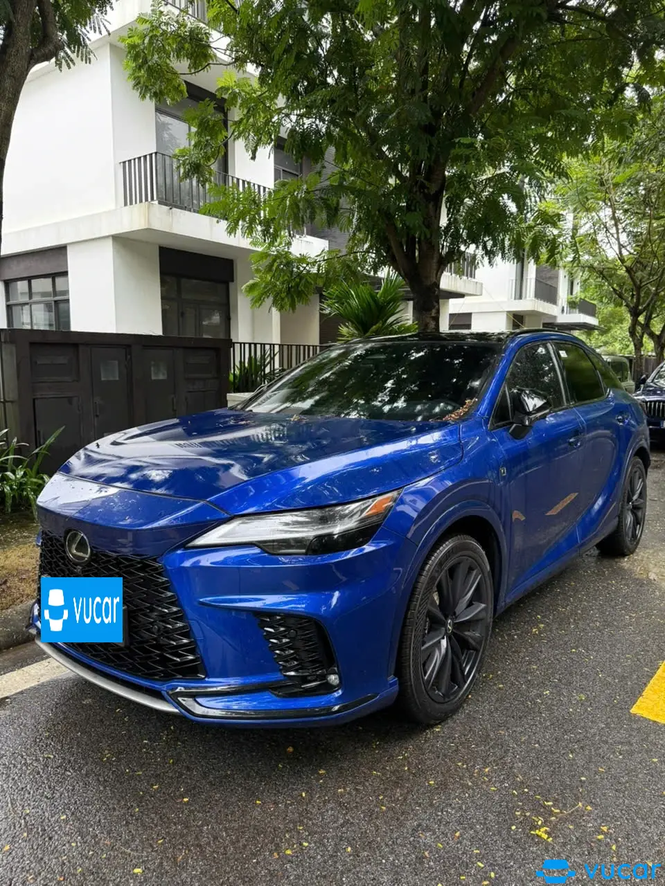 Lexus Rx 500h F Sport Performance 2024 - Ngoại thất 3