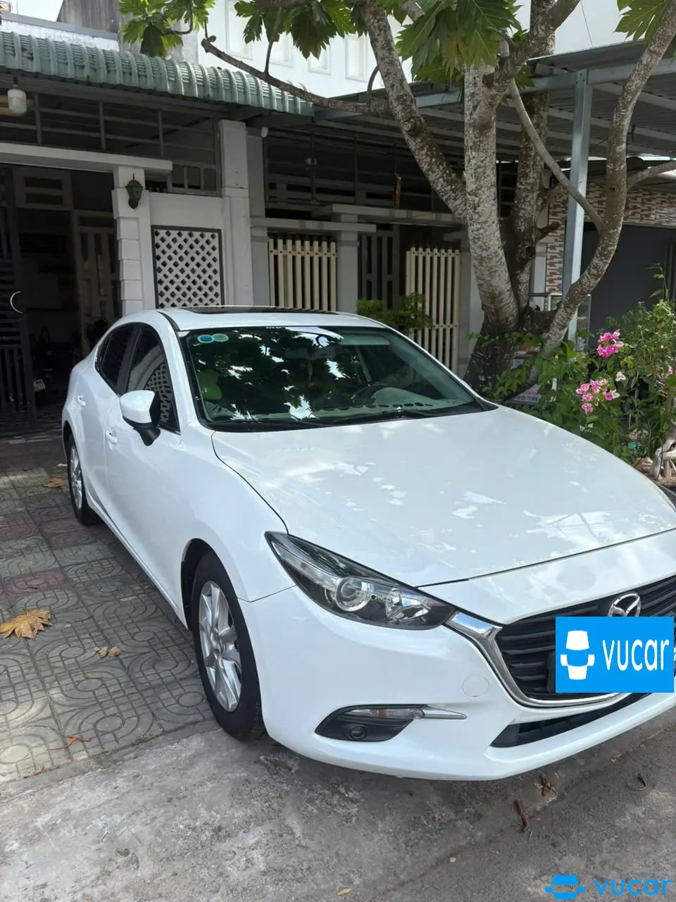 Mazda 3 1.5L Sport Deluxe 2019 - Ngoại thất 4