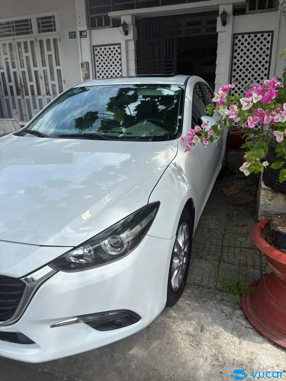 Mazda 3 1.5L Sport Deluxe 2019 - Ngoại thất 6