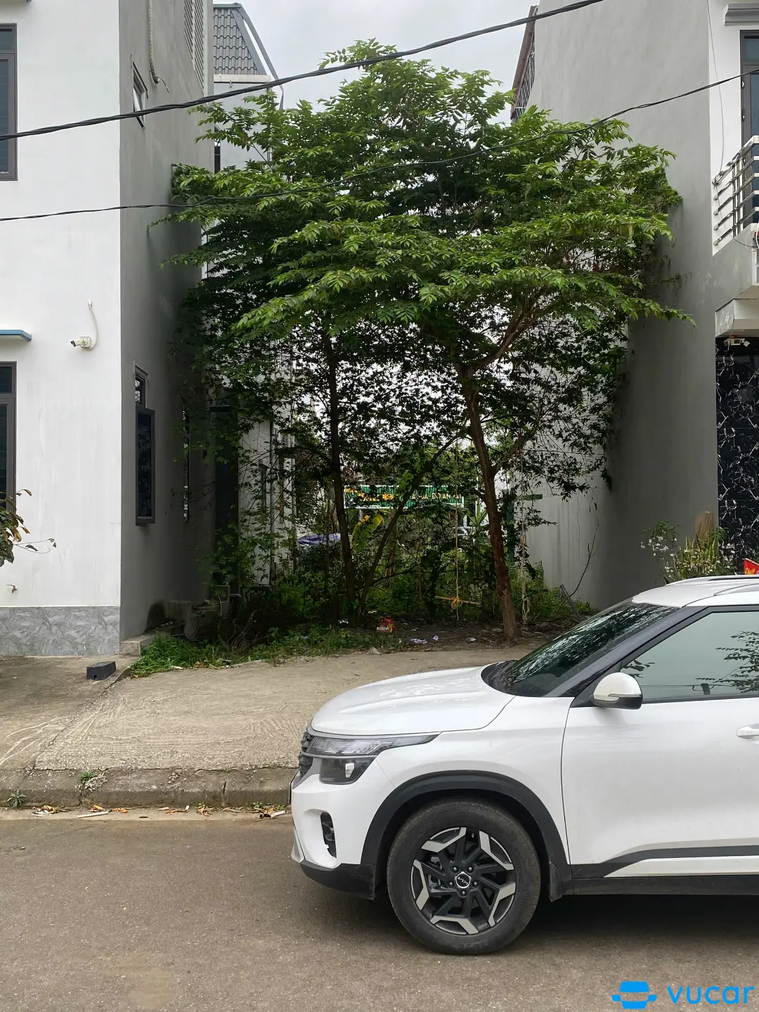 Kia Seltos Deluxe 2025 - Ngoại thất 5