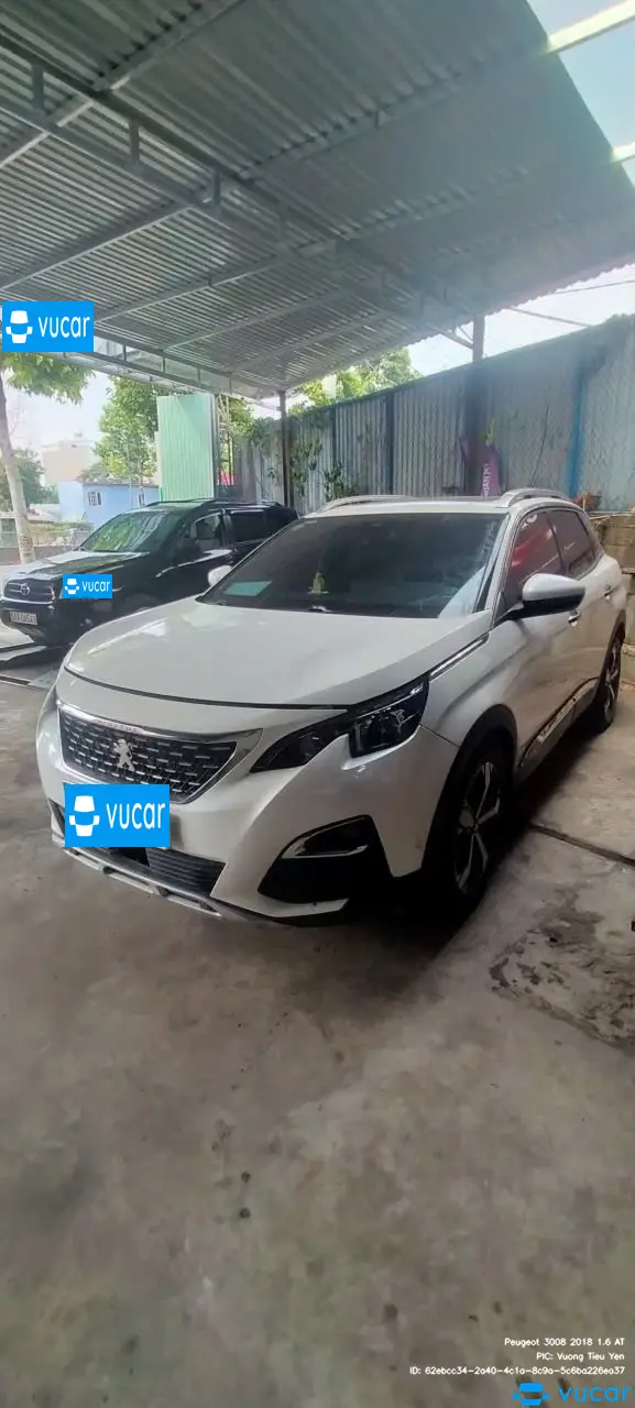 Peugeot 3008 1.6 AT 2018 - Ngoại thất 33