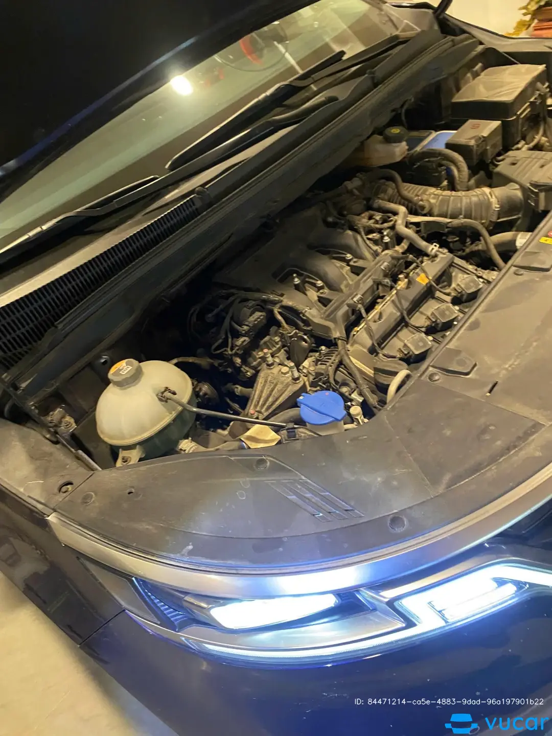 Kia Carnival Signature 3.5G 2023 - Ngoại thất 6