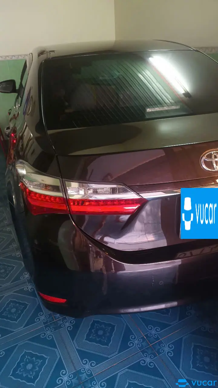 Ảnh xe corana atist  2019