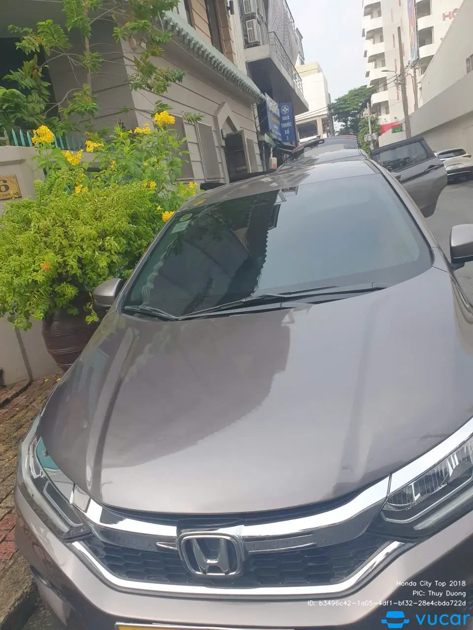 Ảnh xe Honda City Top 2018 - ảnh 3