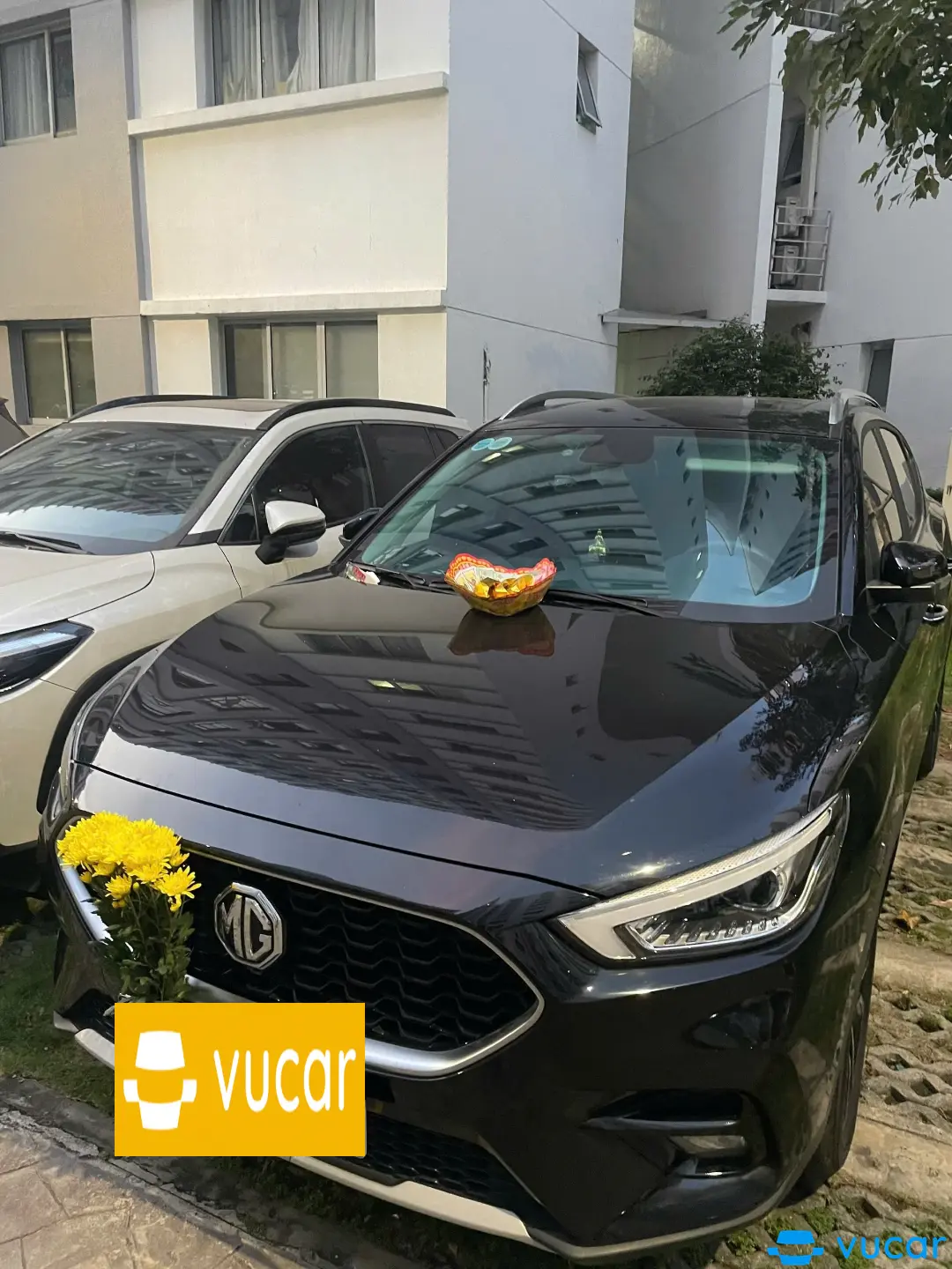 MG ZS Luxury 2023 - Ngoại thất 1
