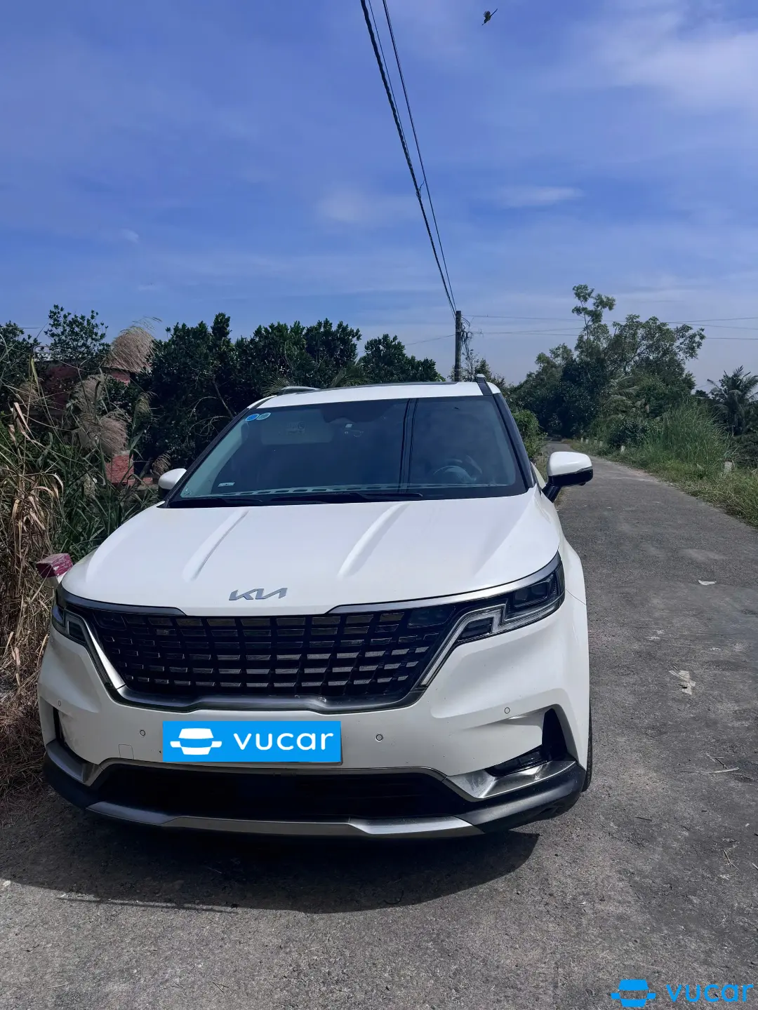 Ảnh xe Kia Carnival Signature 2.2D 2023
