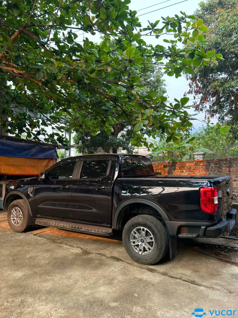 Ford Ranger XLS 2.0L 4x2 AT 2024 - Ngoại thất 5