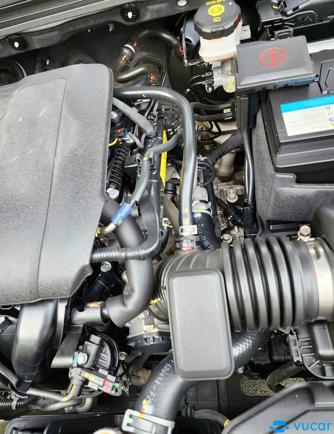 Hyundai Elantra 2.0 AT 2020 - Khoang động cơ 3