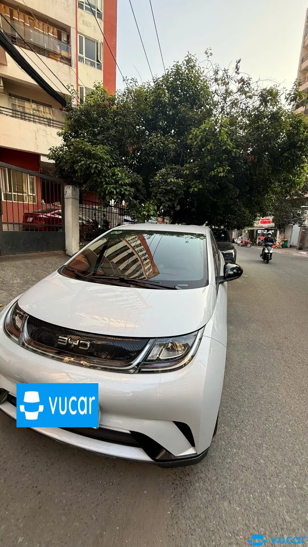 Byd Dolphin GLX 2024 - Ngoại thất 1