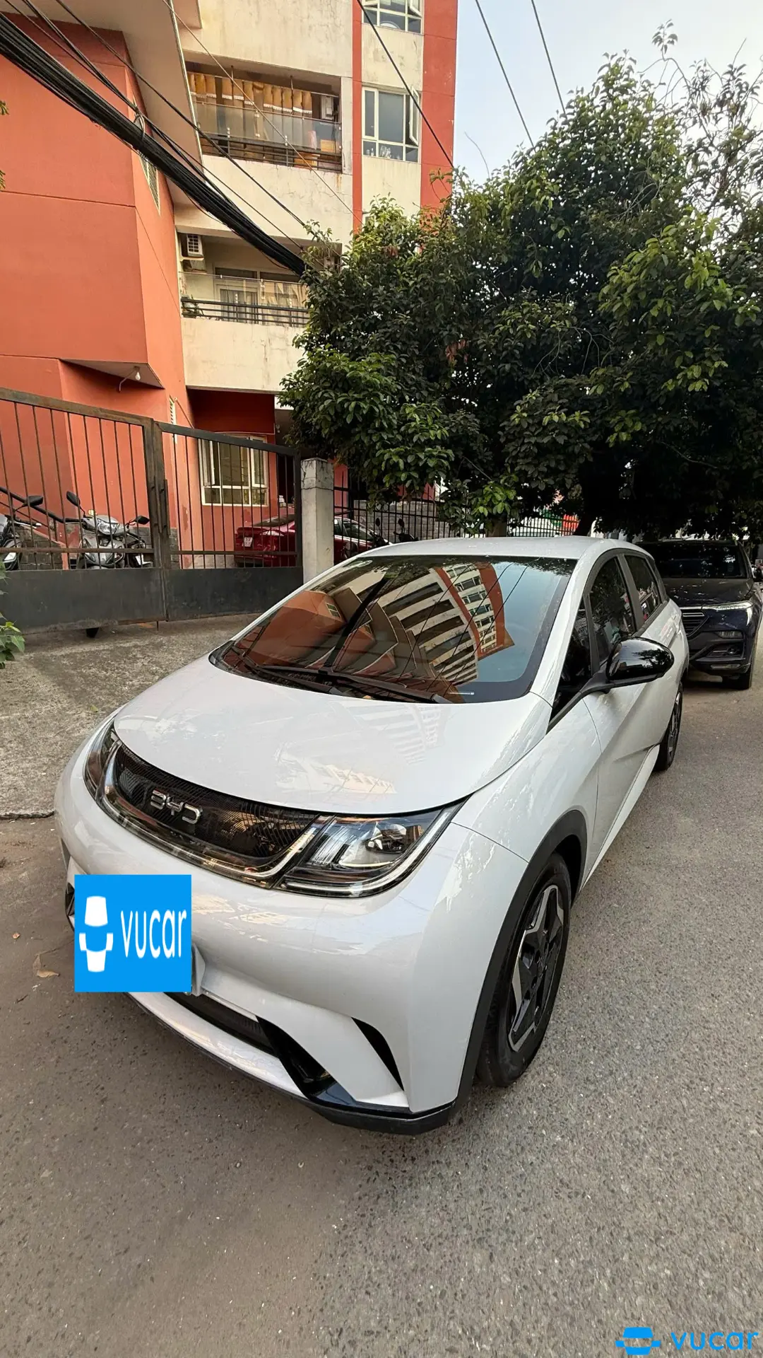 Byd Dolphin GLX 2024 - Ngoại thất 2