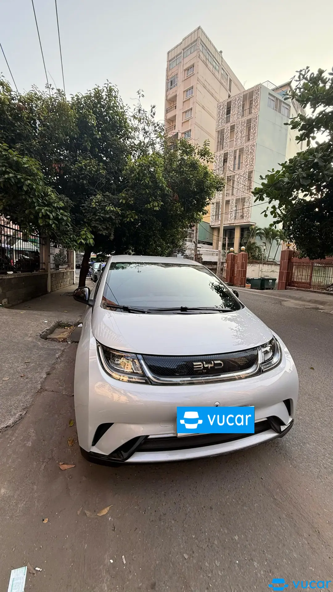 Byd Dolphin GLX 2024 - Ngoại thất 4
