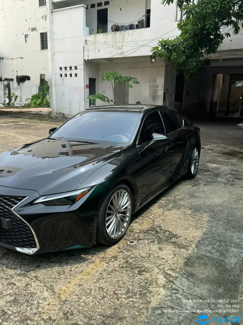 Lexus Is 300 Luxury 2021