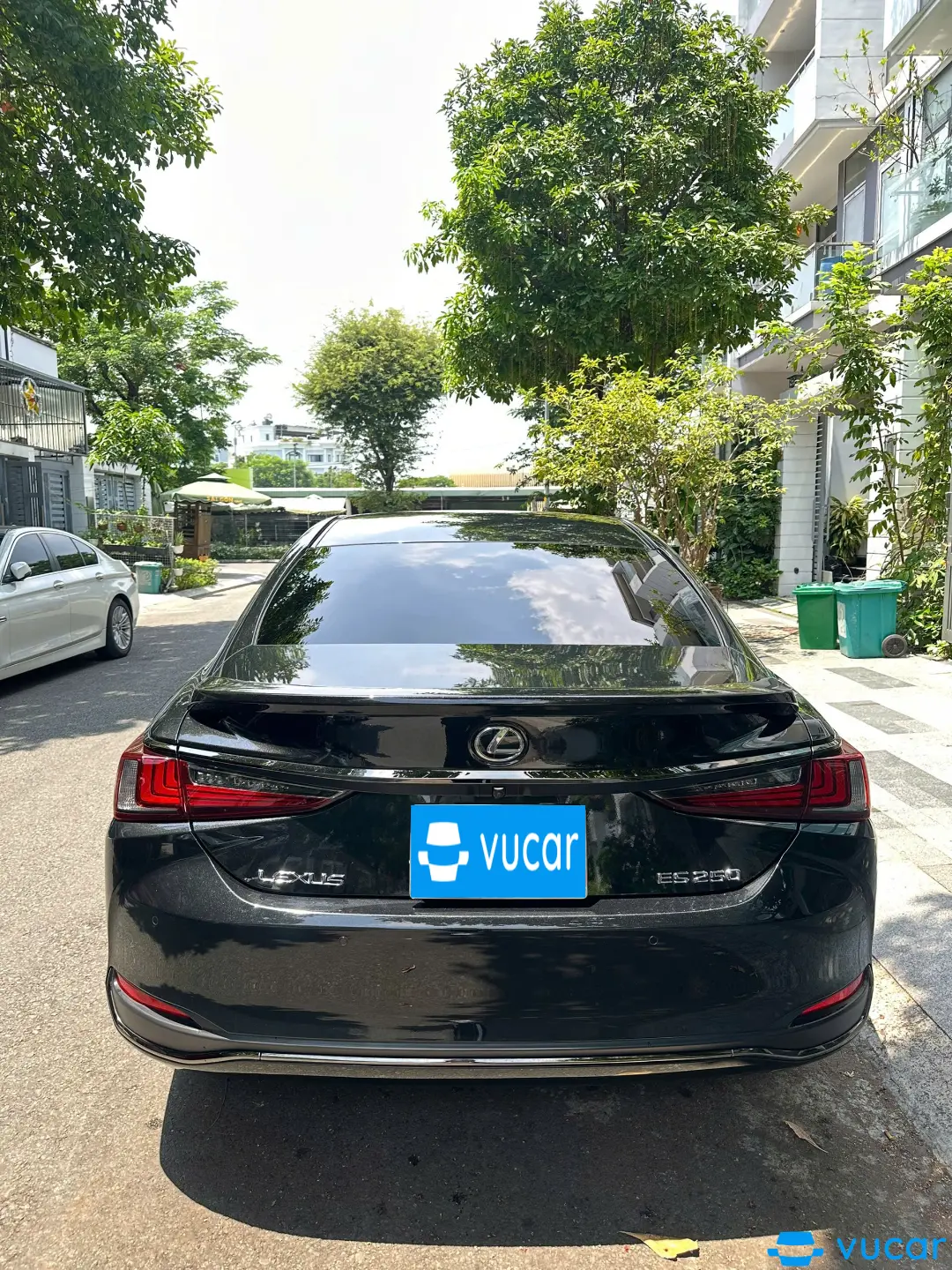 Ảnh xe Lexus Es 250 F Sport 2024 - ảnh 4