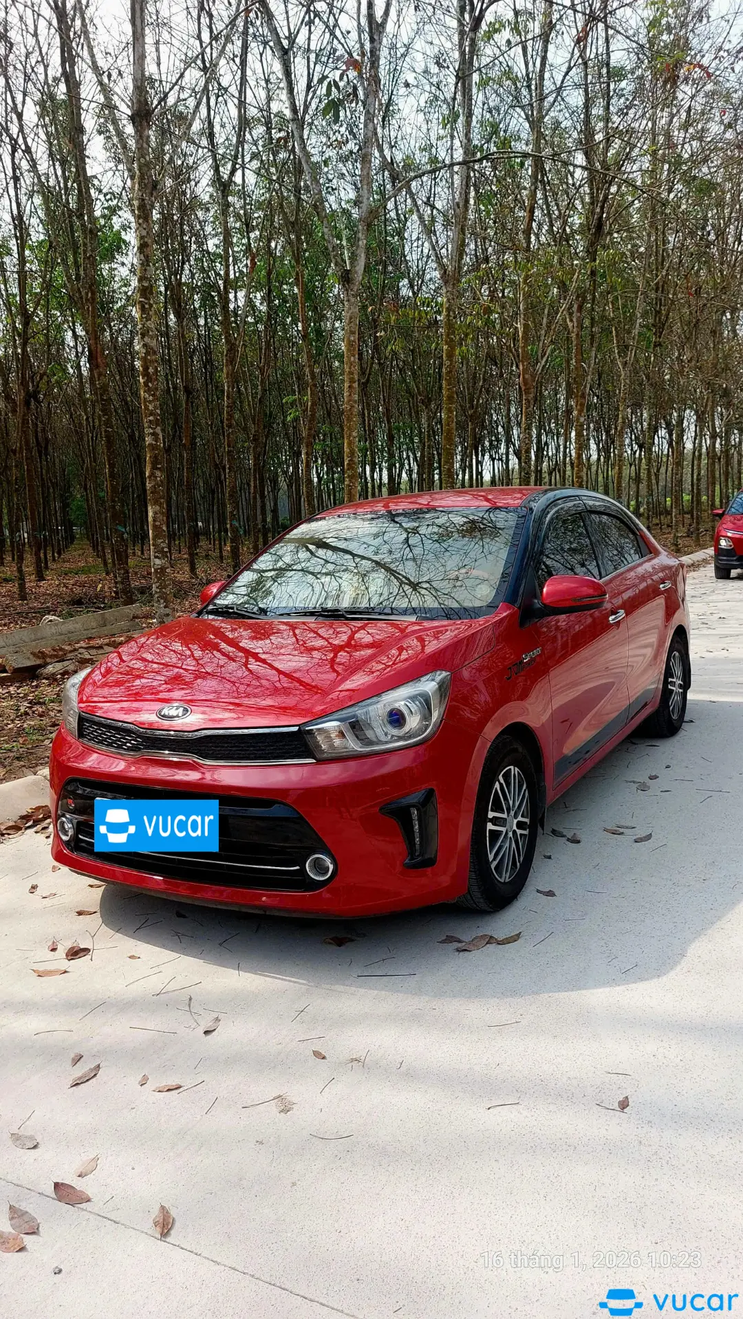 Ảnh xe Soluto AT 2019