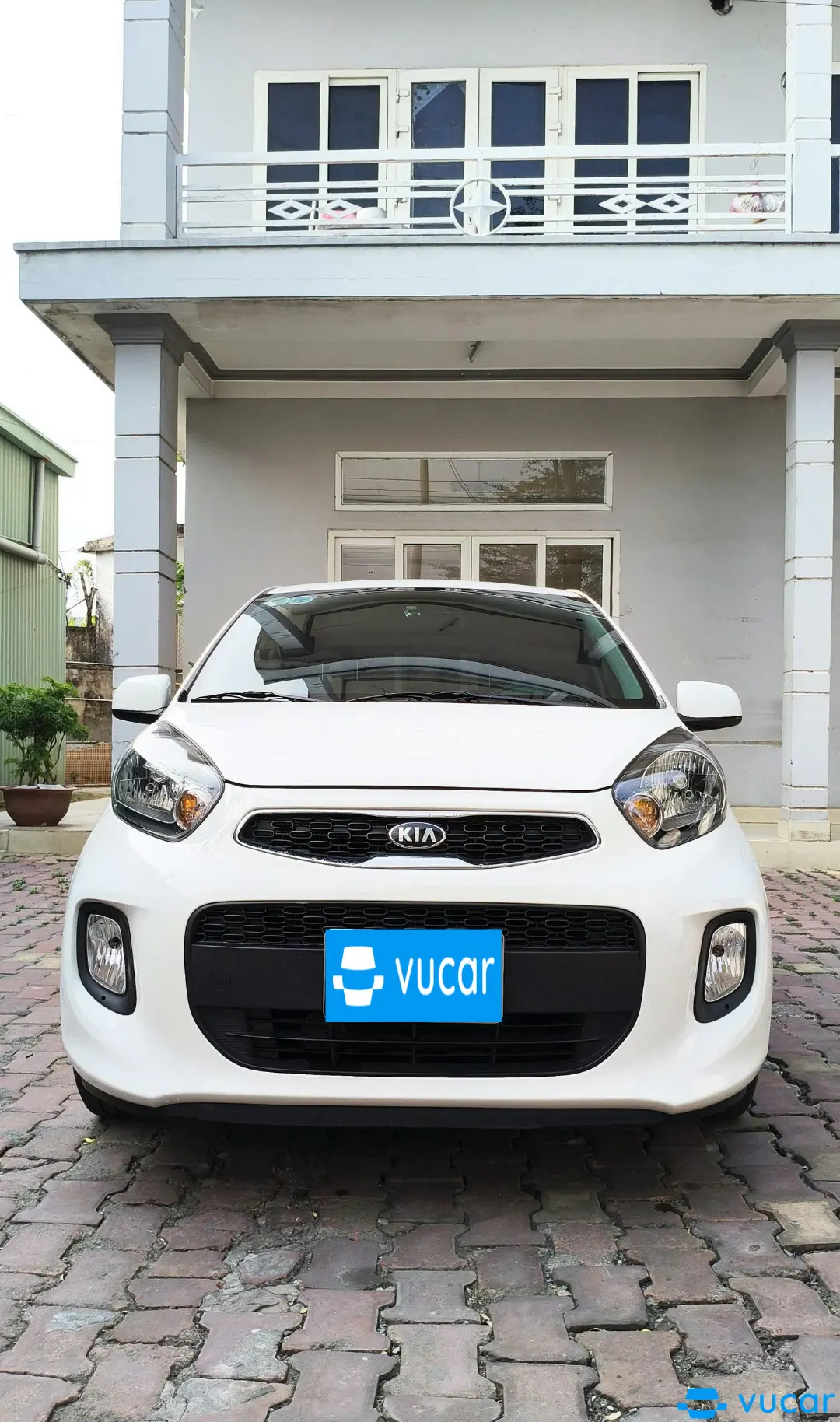 Ảnh xe Kia Morning 1.25 MT 2022