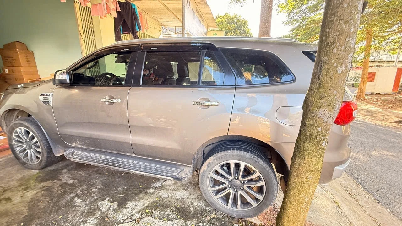 Ảnh xe Ford Everest Titanium 2.0L 4x4 AT 2019