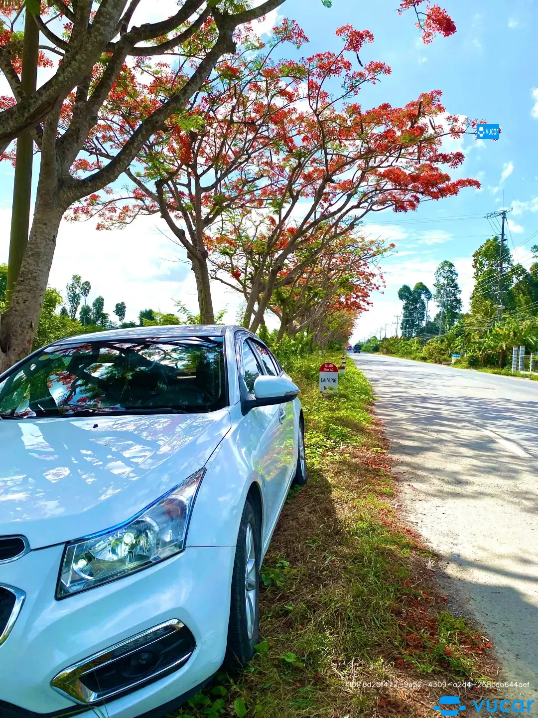 Chevrolet Cruze LT 1.6L 2017 - Ngoại thất 3