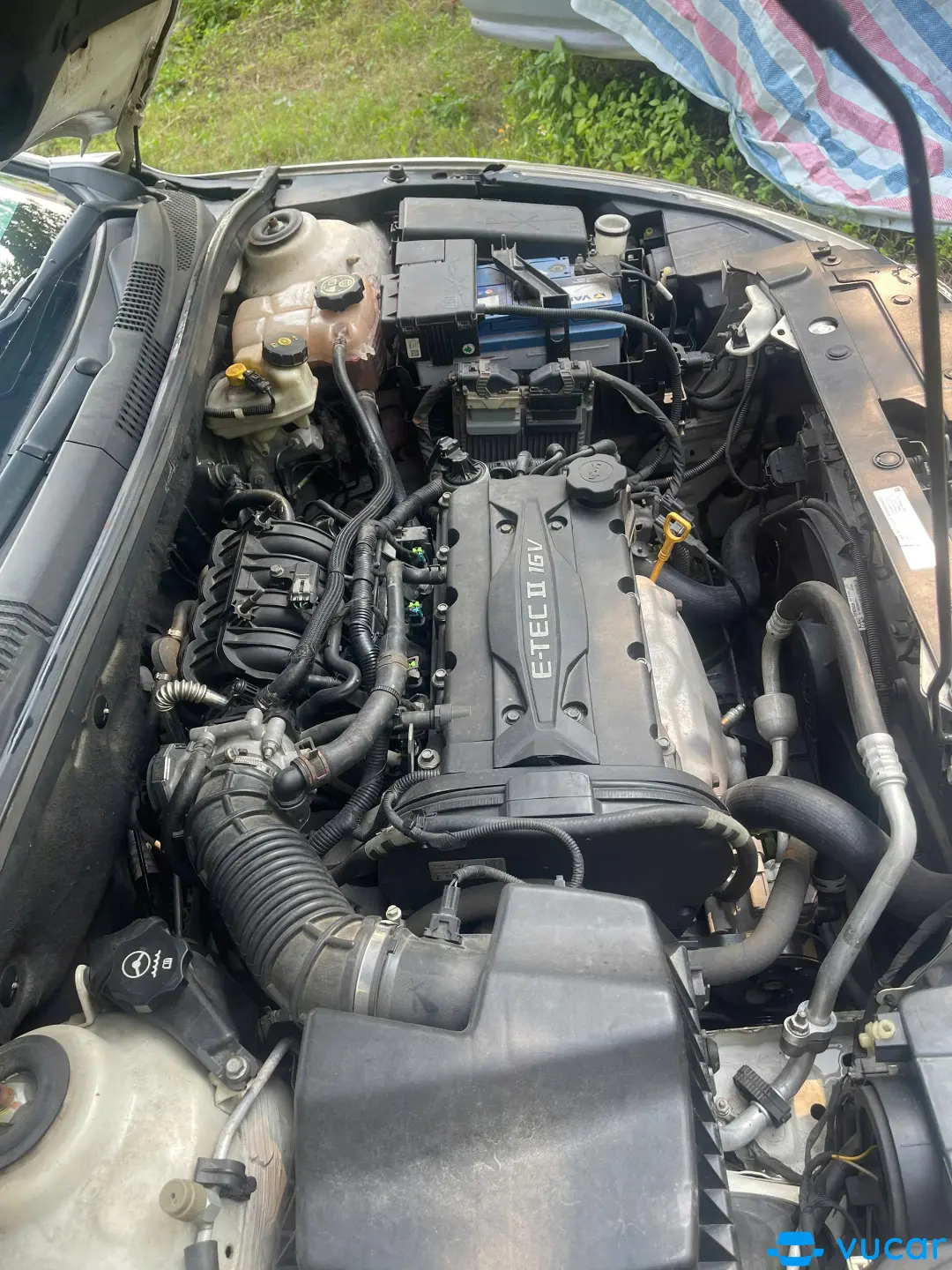 Chevrolet Cruze LS 1.6 MT 2014 - Khoang động cơ 2
