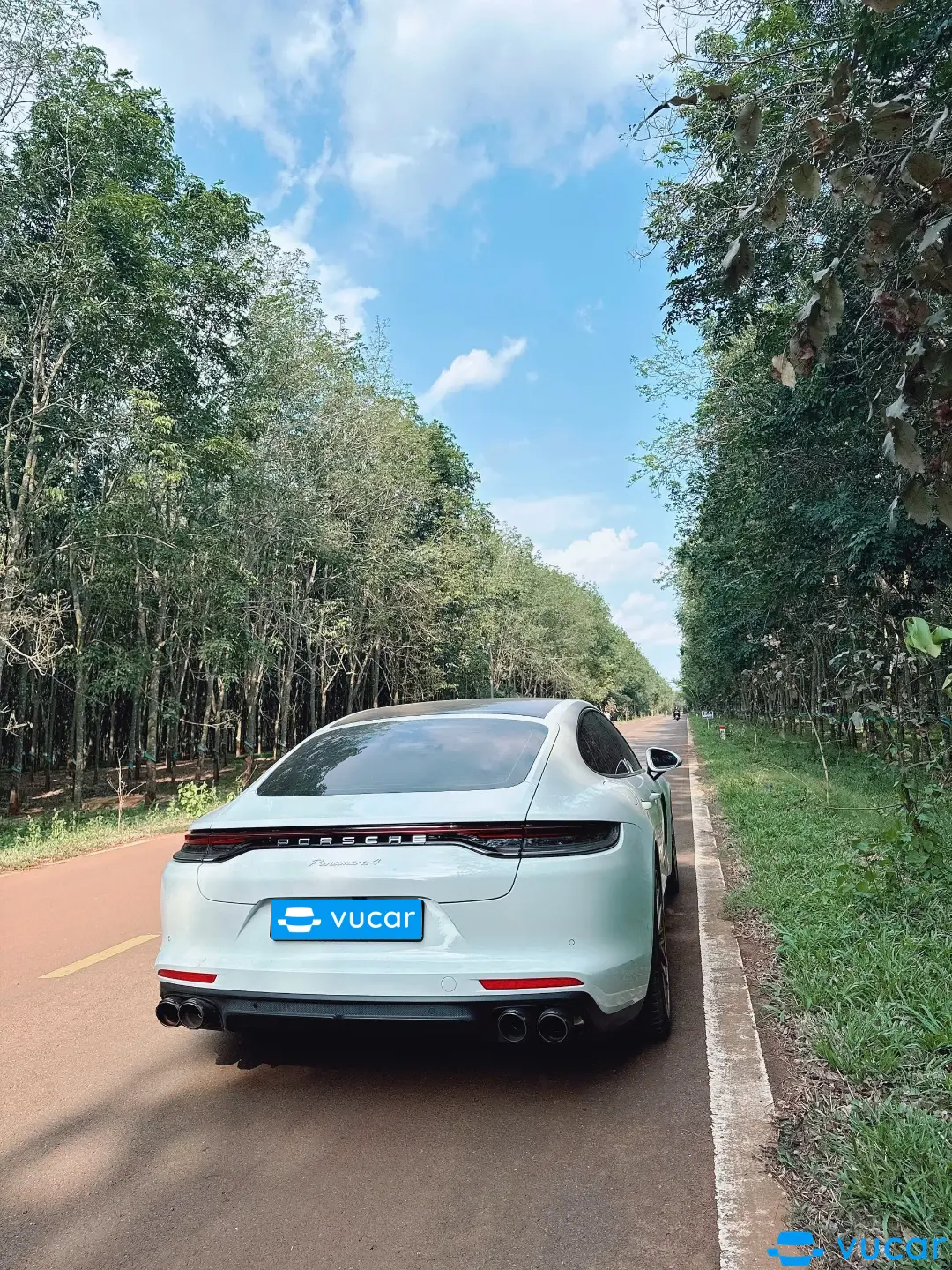 Porsche Panamera 2.9 V6 2022 - Ngoại thất 3