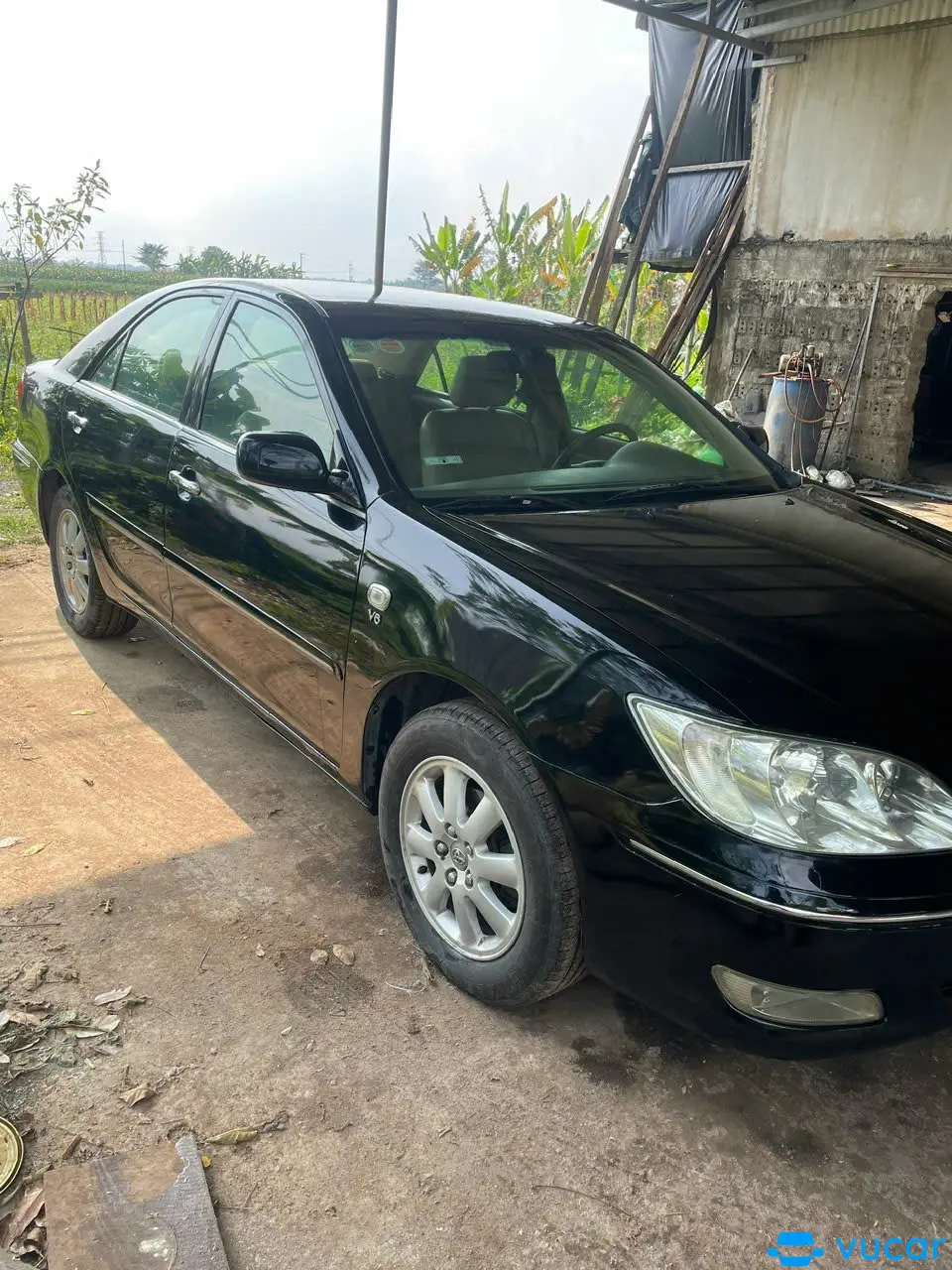 Toyota Camry 3.0V 2003