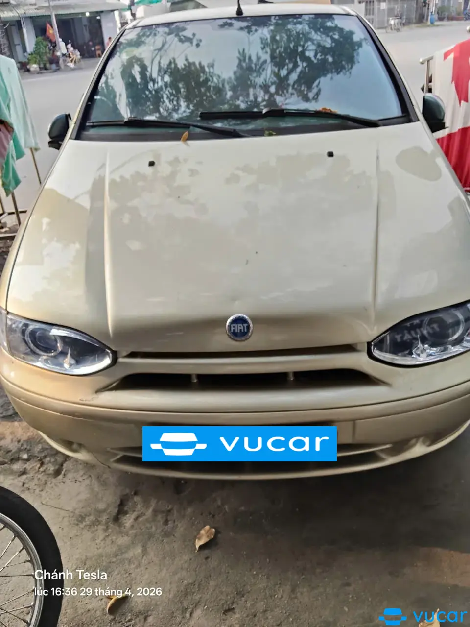 Ảnh xe Fiat 2023 - ảnh 2