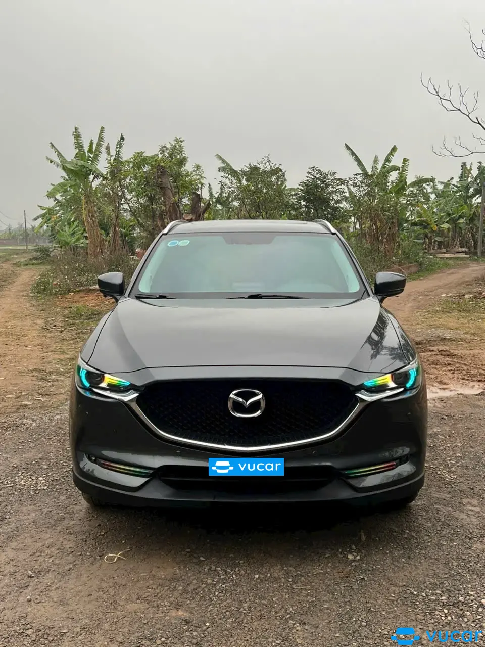 Mazda CX-5 2.0 Luxury 2019 - Ngoại thất 2