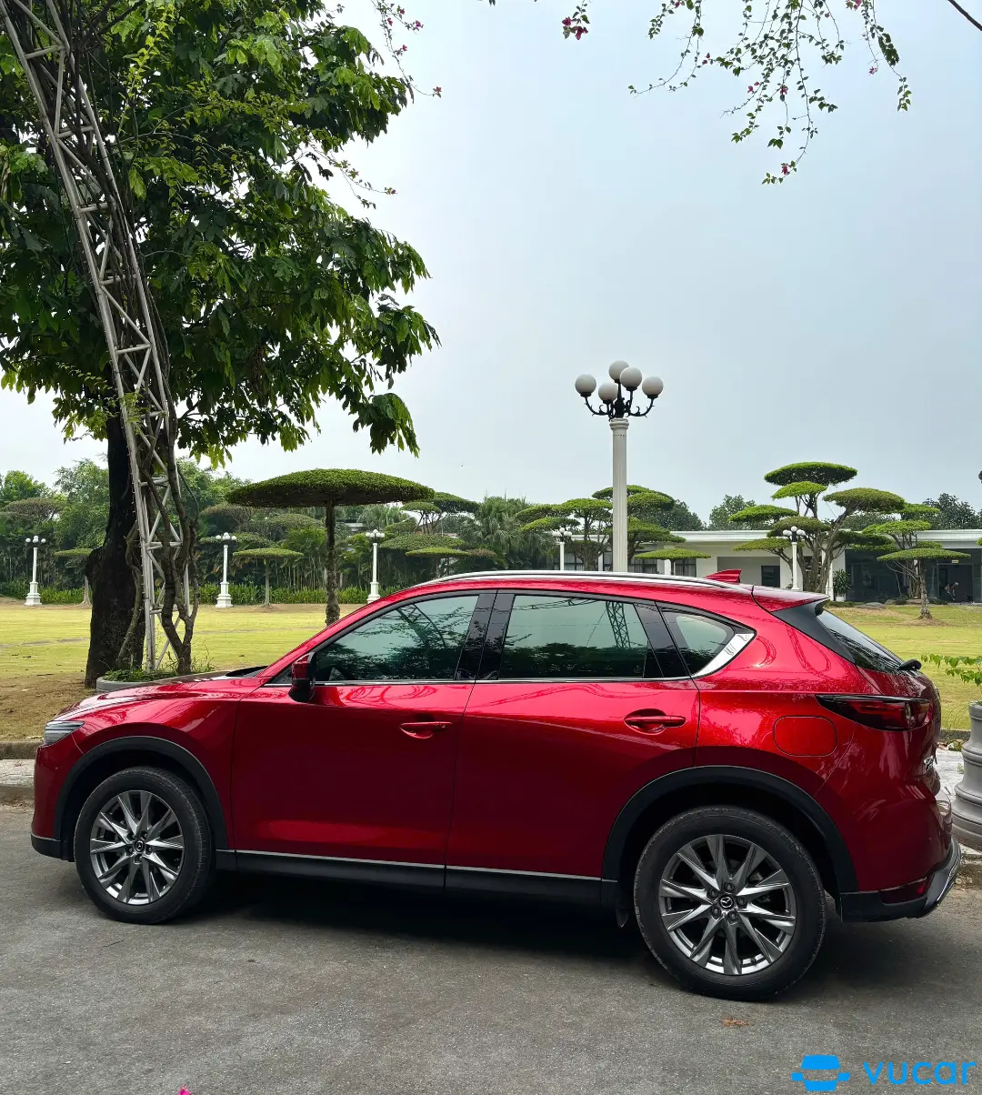Ảnh xe Cx5 premium (form cũ) 2023