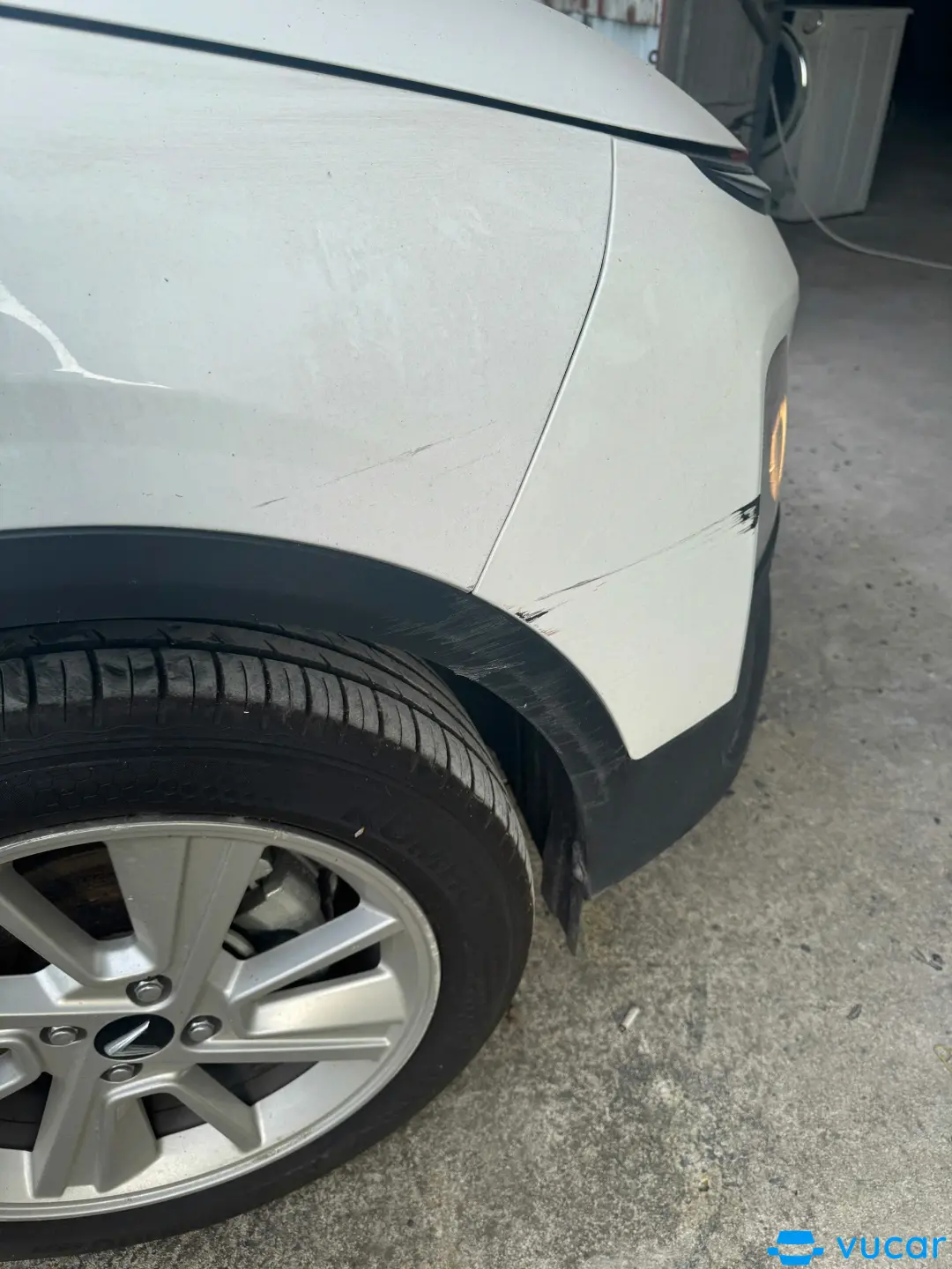 Ảnh xe VinFast VF5 Plus  2024