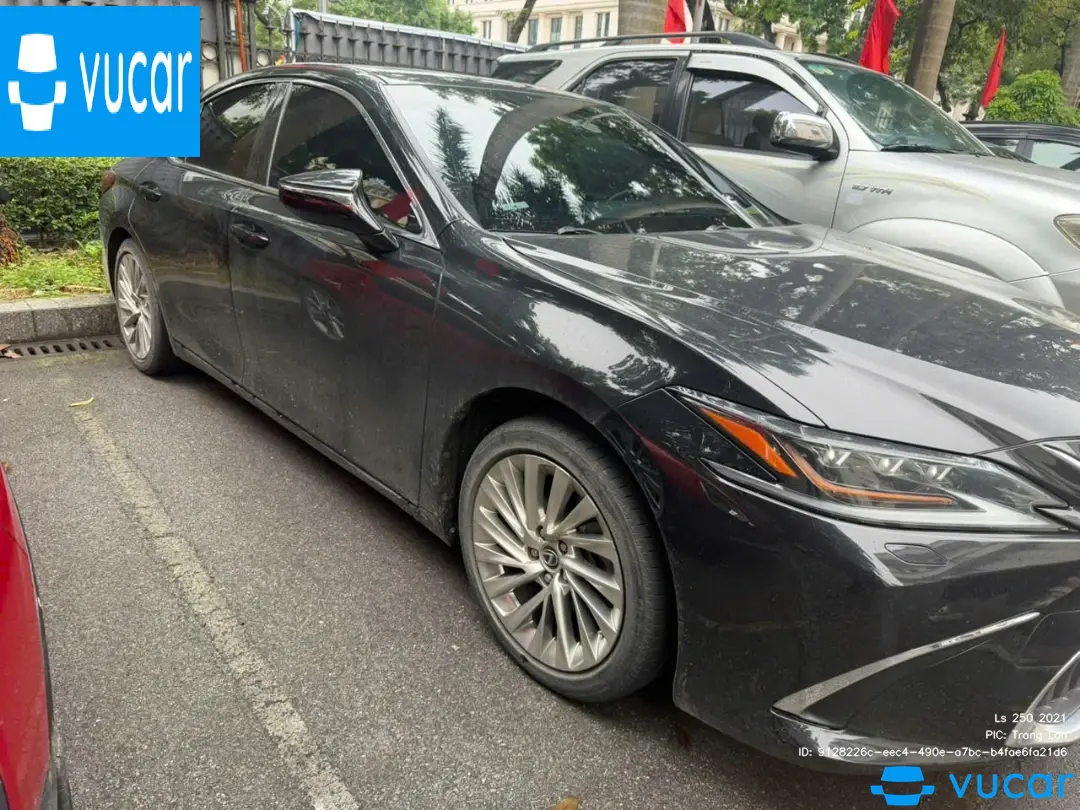 Ảnh xe Lexus Es 250 2020 - ảnh 4