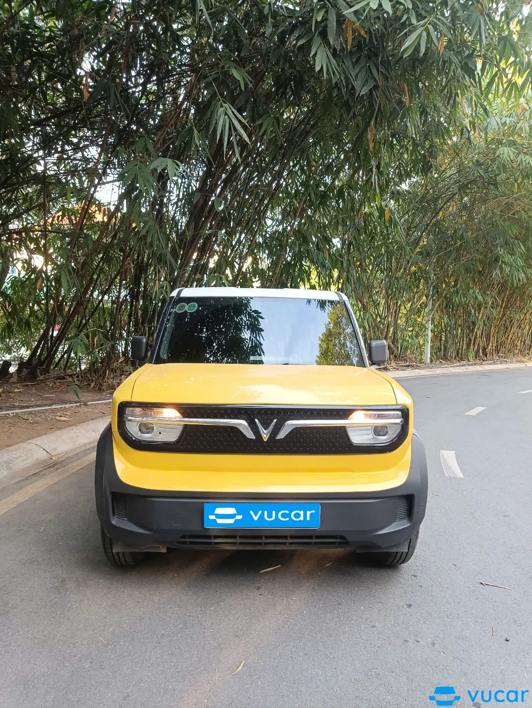 Vinfast Vf3 Thuê Pin 2024 - Ngoại thất 2
