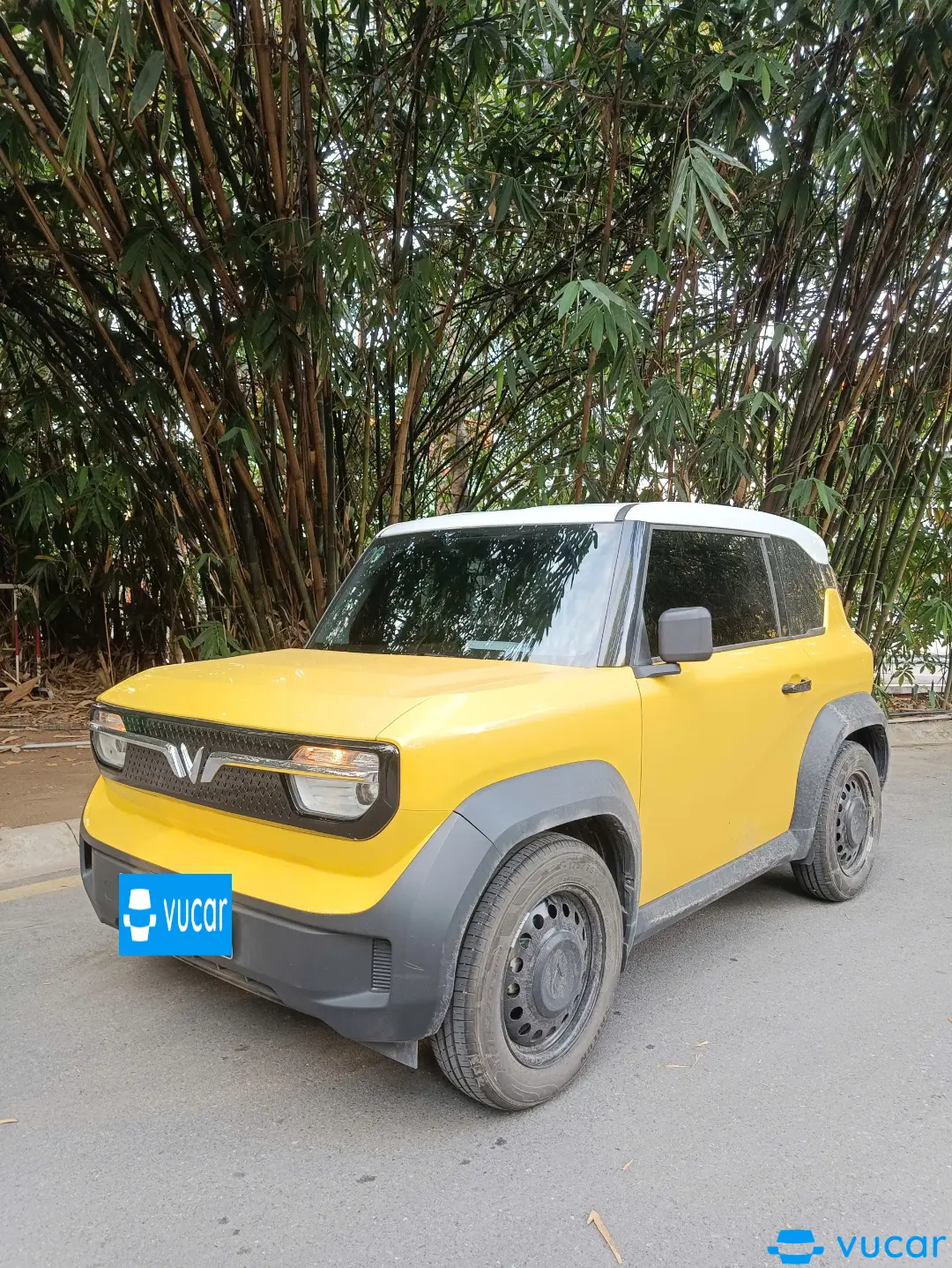 Vinfast Vf3 Thuê Pin 2024 - Ngoại thất 5