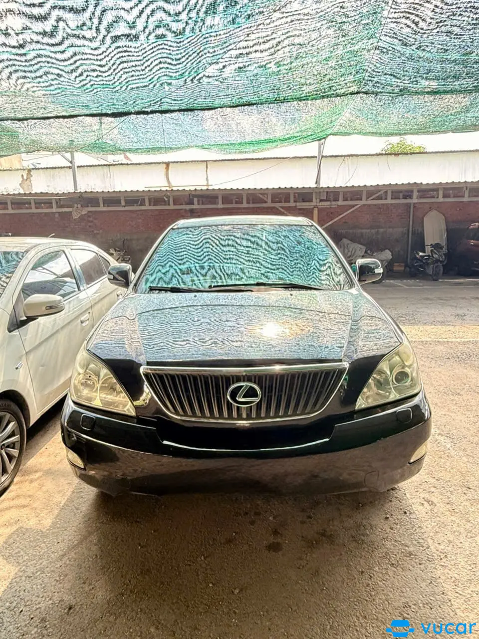 Ảnh xe Khác RX350 Dẫn động cầu trước 2007 - ảnh 4