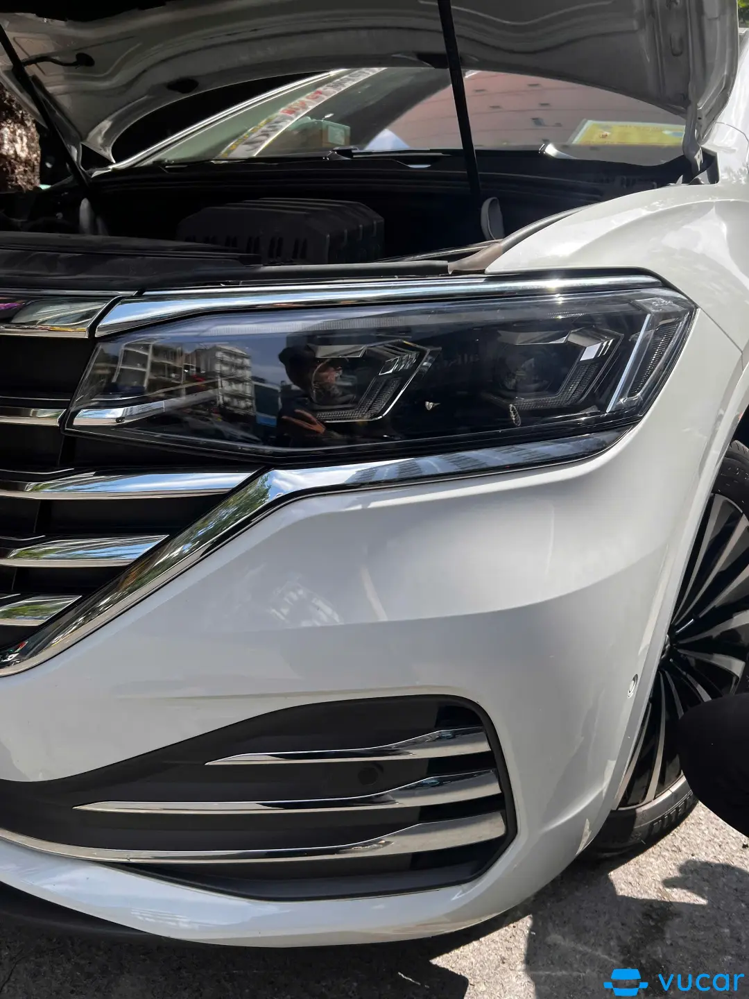 Ảnh xe Volkswagen Viloran Luxury 2024