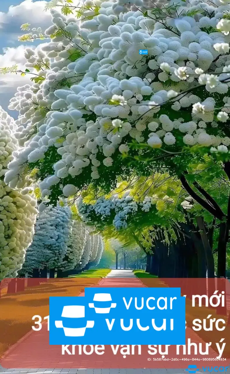 corana atist 2019 - Ngoại thất 7