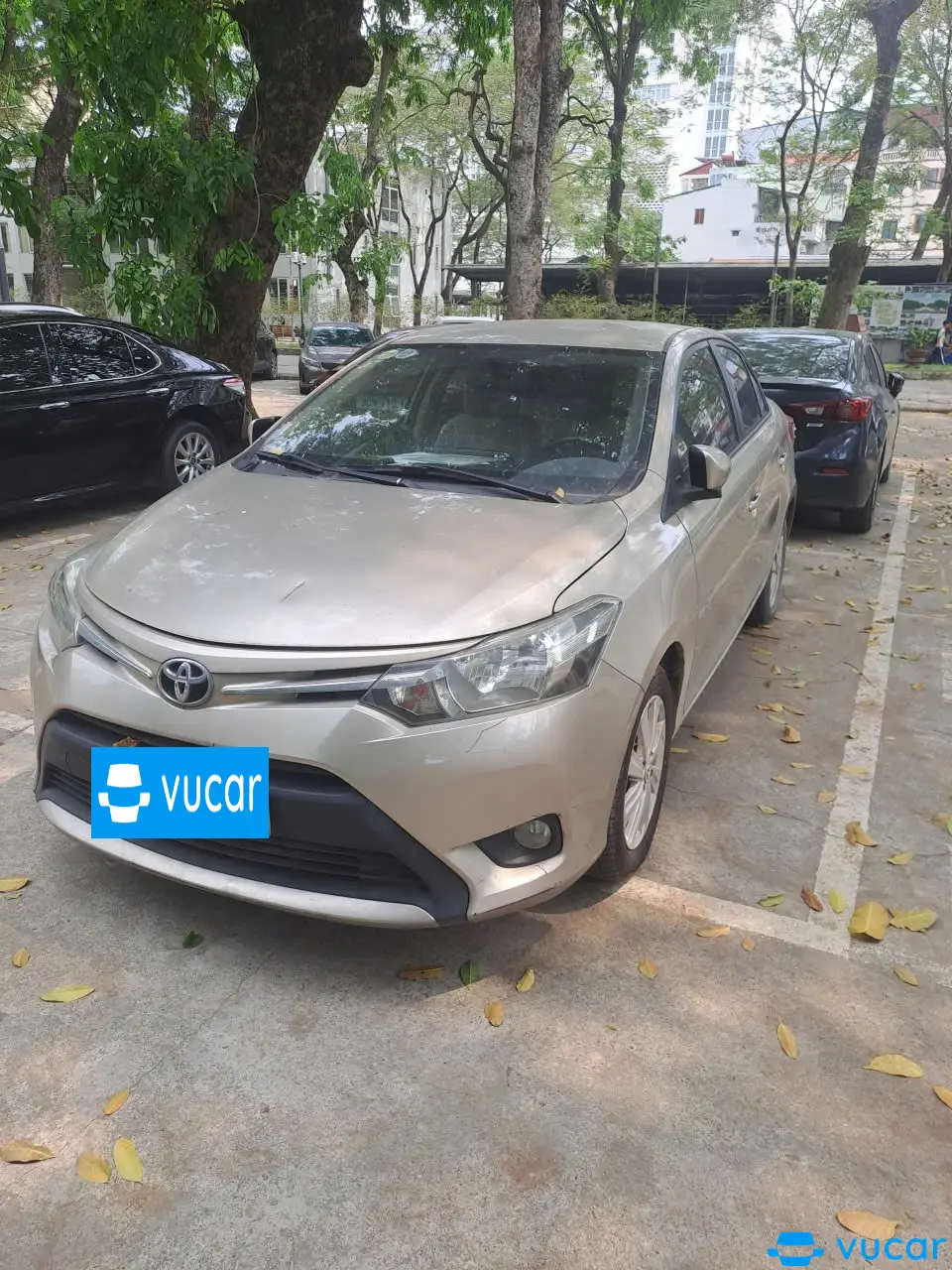 Ảnh xe Toyota Vios 1.5E 2014