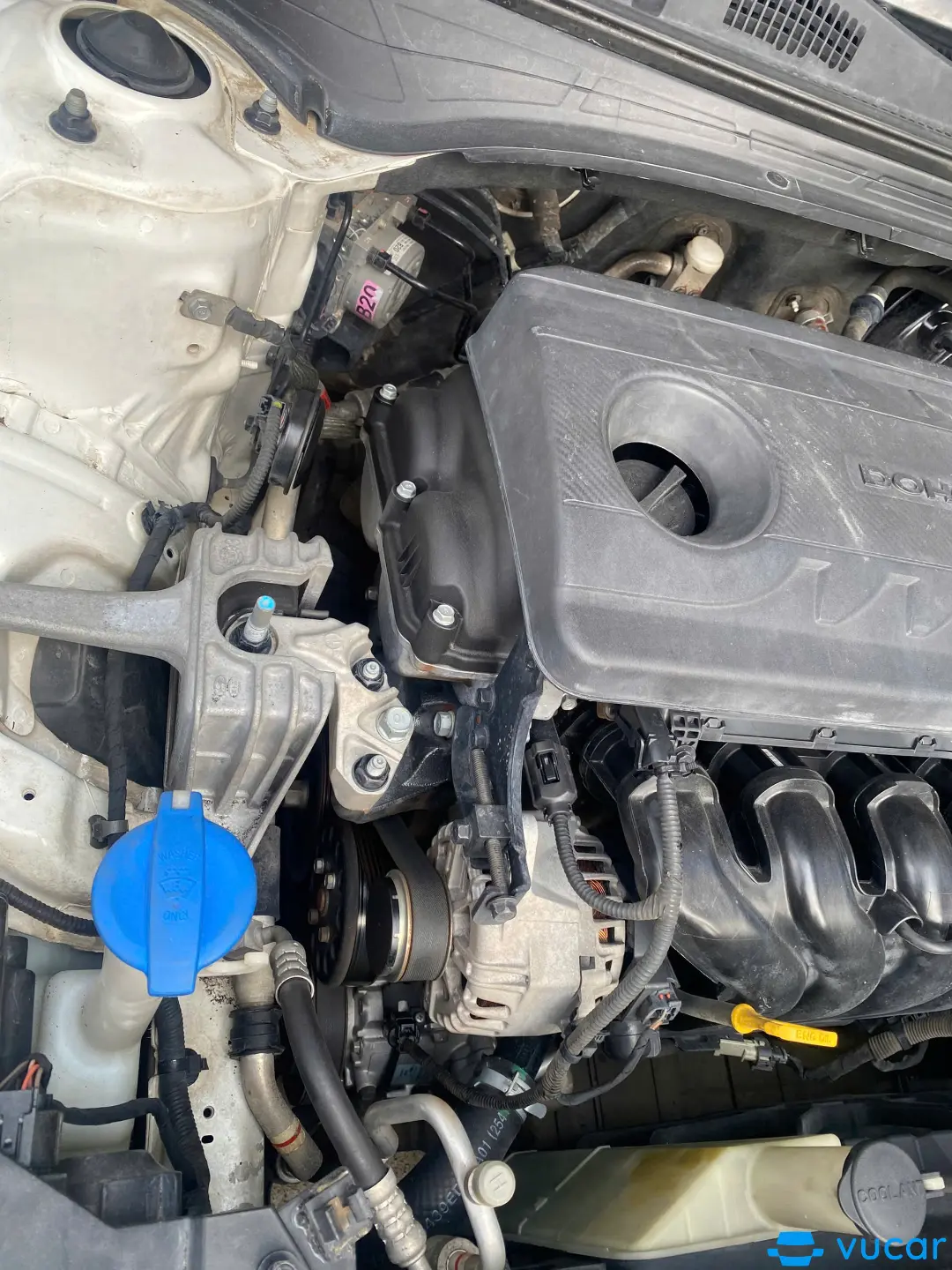 Isuzu Qkr QLR77FE4 Thùng Kín 2019 - Khoang động cơ 1