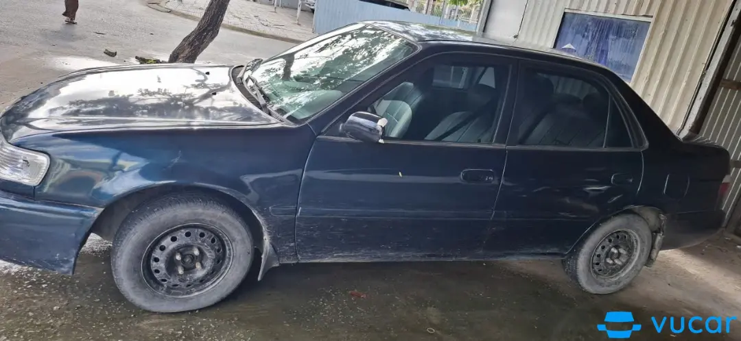 Toyota Vios 1.5 MT 2004 - Ngoại thất 5