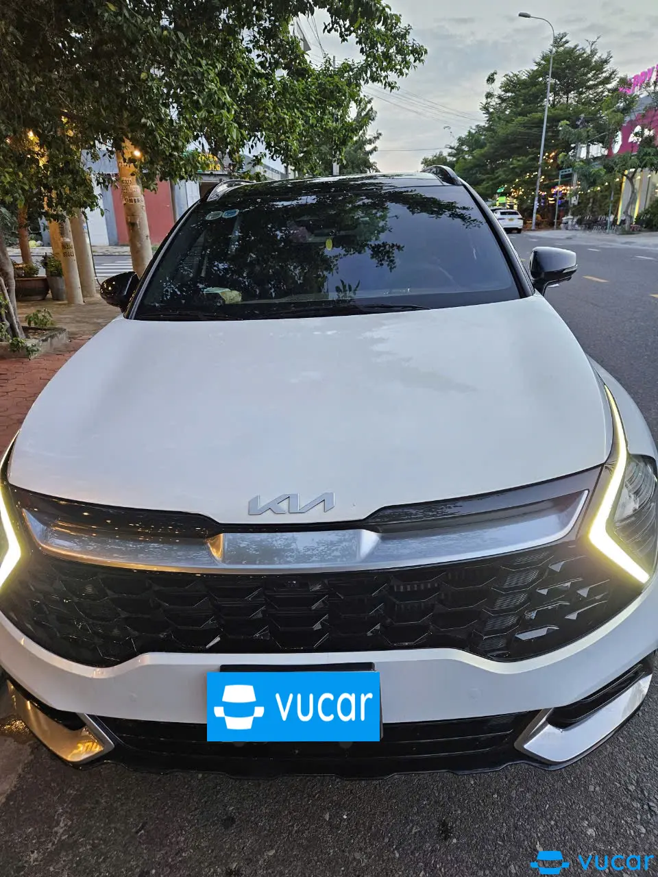 Kia Sportage Signature 1.6T AWD 2022 - Ngoại thất 1