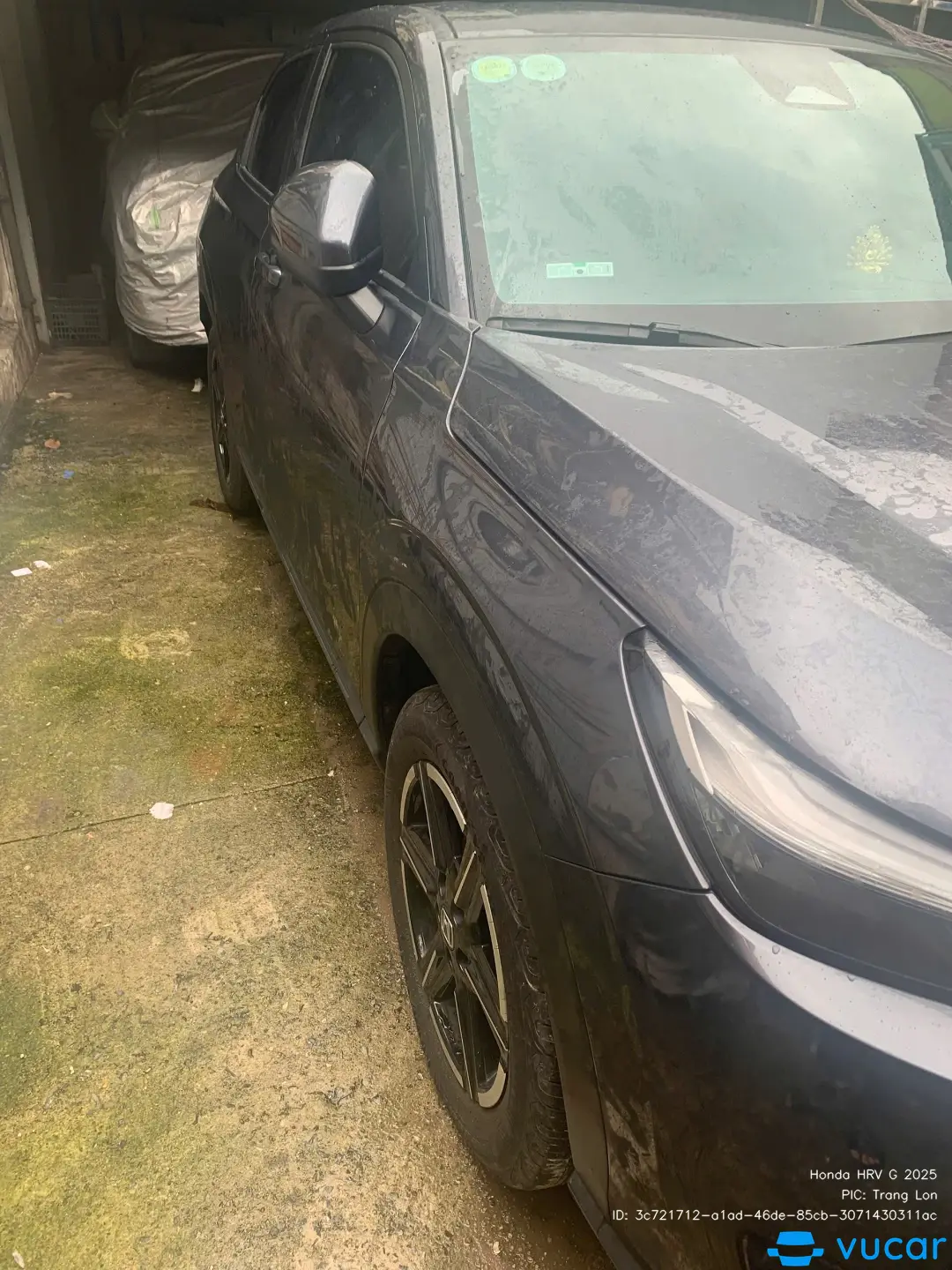 Ảnh xe Honda HRV G 2025 - ảnh 6