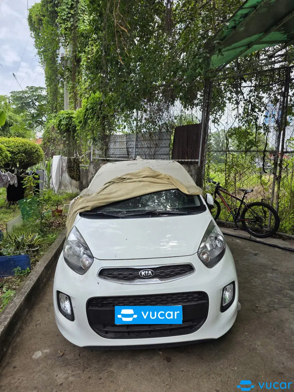 Ảnh xe Kia Morning 1.25MT 2020